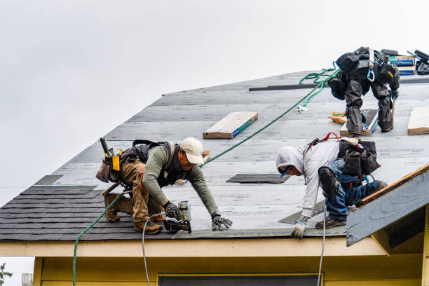 Professional Roofing technician working in Monroe, OR